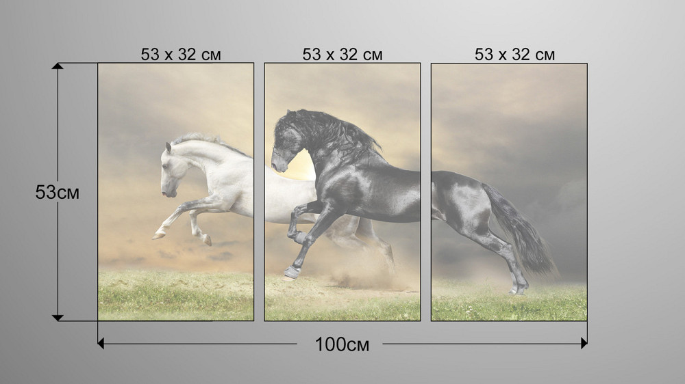 Модульна картина Коні Аrt-73_3А Київ - фото 3