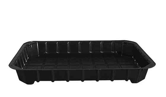 Блистер пищевой, упаковка для суши 185*138 мм ПС-63 Павлоград