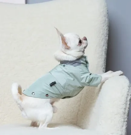 Дощовики для собак з тонкою підкладкою комбінезон трансформер Dogs Bomba, знімні штани та капюшон м'ятний Одеса