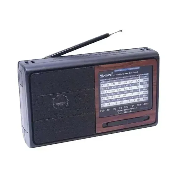 Портативний радіоприймач Golon RX-3050 з MP3, USB, microSD, вбудованим акумулятором, автоскануванням та FM/AM/SW Одеса