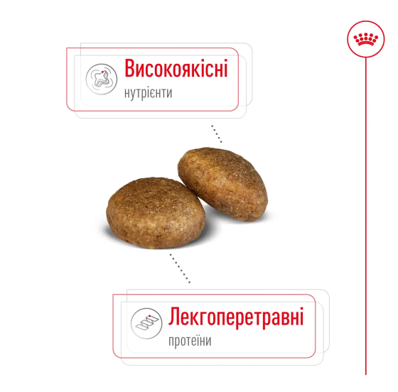 Royal Canin Maxi Ageing 8+ (Роял Канін Максі Ейджинг 8+) сухий корм для собак великих порід від 8 років Запоріжжя