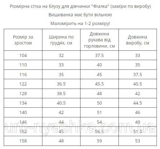 Дитяча вишиванка з синьою вишивкою Фіалка червона Кривий Ріг - фото 5