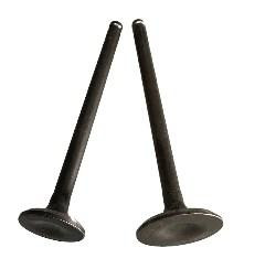 Клапани (пара, голі) Хонда DIO AF56 Мукачево - фото 1