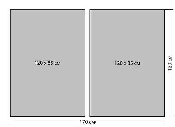 Модульная картина в гостиную / спальню  Лев-Тигр   TLV-2_143 120х170  см Киев