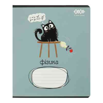 Зошит ZiBi предметний CRAZY CAT 48 аркушів клітинка, фізика (ZB.1703-17) Вінниця