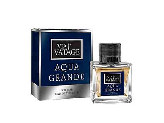 Туалетна вода д/чол Via Vatage Aqua Grande 100мл ТМ Bi-es Київ