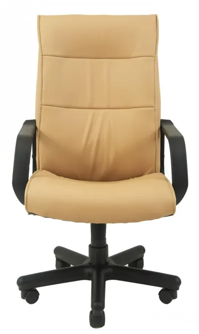 Офисное Кресло Руководителя Richman Rio Fly 2201 Пластик М2 AnyFix Темно-бежевый Днепр - изображение 4