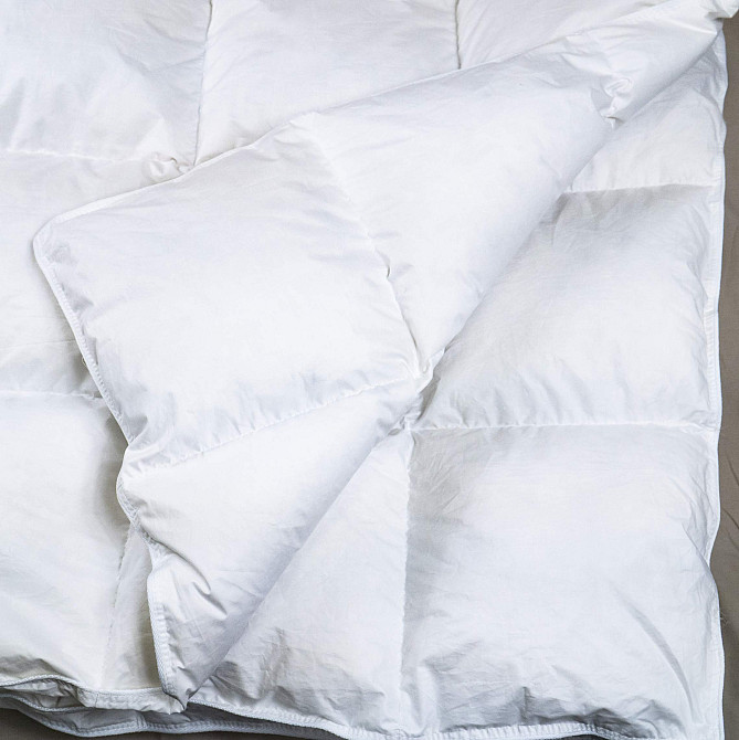 Напівпухова Евро ковдра YouStar 50% пух 50% перо, розмір 200х220 см (Білий) Суми - фото 17
