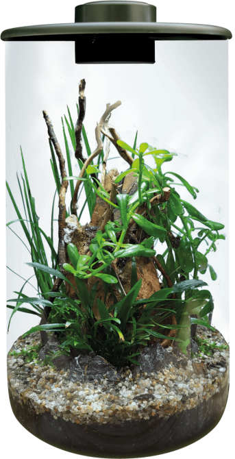 Аквариумный набор BIO ART CYLINDER 285 BLACK (A4056010) Киев - изображение 2