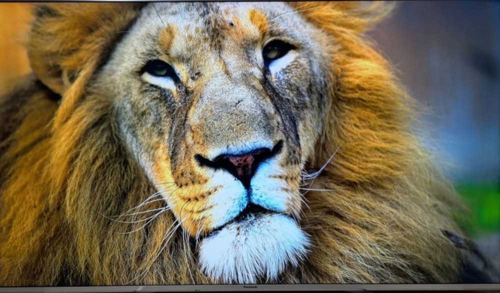 Телевизор Panasonic TX -65DXW784 4K Pro HDR 3D/ 120Hz. / TOP/ 2017 Киев - изображение 5