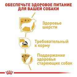 Royal Canin Yorkshire Terrier Adult (Рояв Канин Йоркшир Тер'єр Едалт) корм для йоркширських тер'єрів від 10 міс 1.5 кг. Запоріжжя