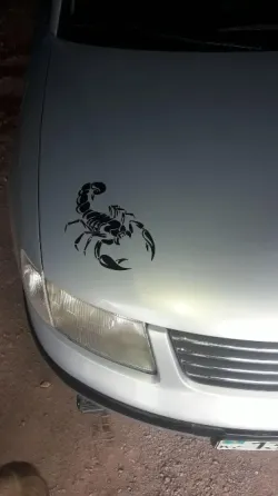 Наклейка для автомобіля Scorpio 2 шт. Київ