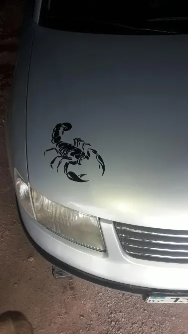 Наклейка на авто Скорпион 2 шт Киев - изображение 6