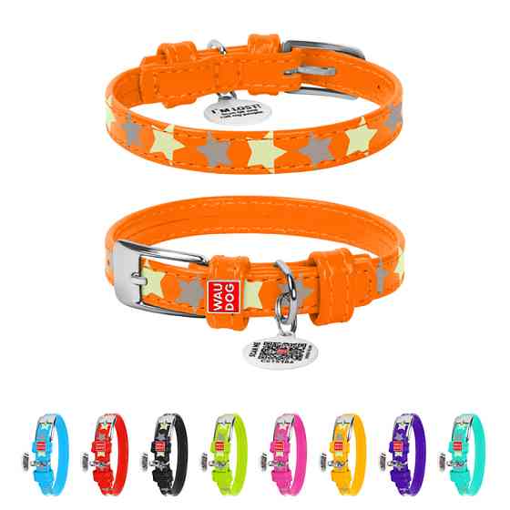 Нашийник для собак шкіряний WAUDOG Glamour з QR паспортом, візерунок "Зірочка", світлонакопичув Коломия