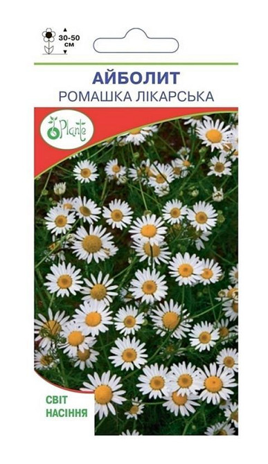 Насіння Ромашка лікарська Київ - фото 1