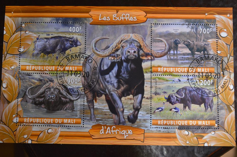 Мали. Марки. Фауна. Блок. 2020 год (В-2) Полтава - изображение 1