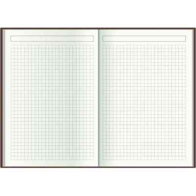 Тижневик Economix датований 2024, А5 (E21836) Вінниця