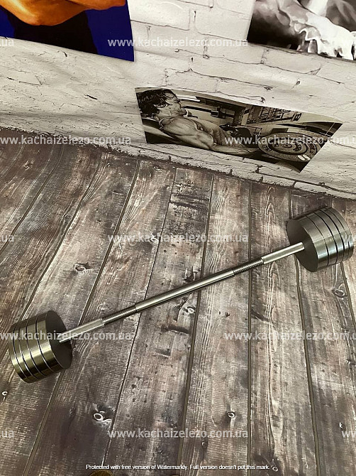 Гантели наборные 2 по 24 кг + Переходник для штанги Гантели, гири, штанги и диски металлические без покрытия Киев - изображение 1