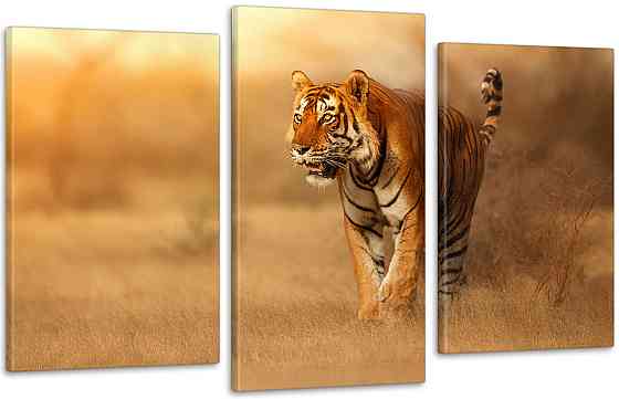 Модульная картина Тигр Art-183_3 100x150 см Киев