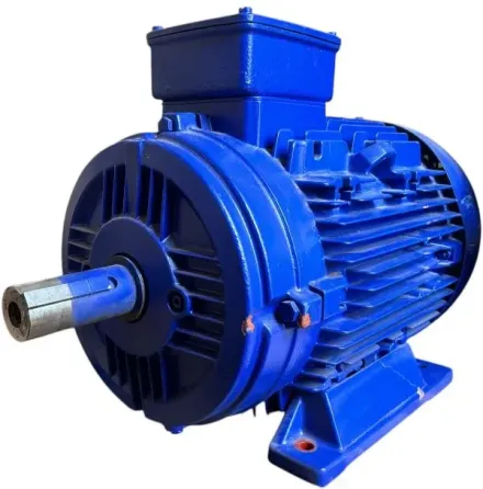 Promotor Silnik Elektryczny Trójfazowy 11kW 1400 Obrotów W Obudowie Żeliwnej 160mm Киев
