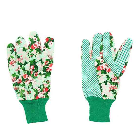 Набір для саду та городу, комплект для саду рукавички, ножиці, граблі, комплект садових інструментів із 4 предметів Кам'янець-Подільський