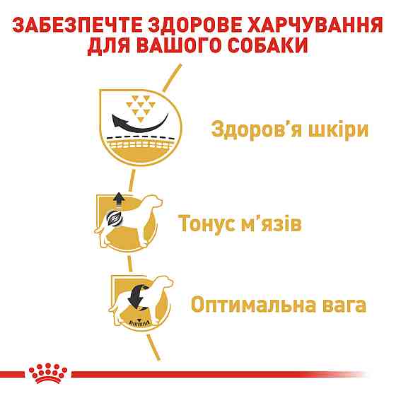 Корм для дорослих собак ROYAL CANIN PUG ADULT 3.0 кг Київ