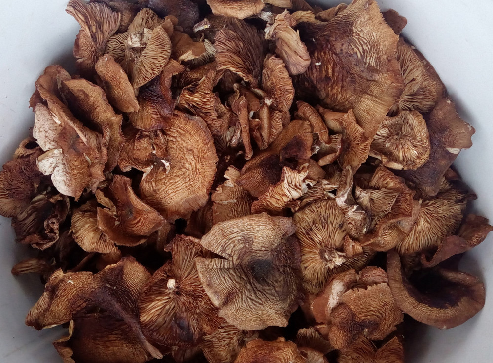 Підпеньки / Опеньки гриби (капелюшки), 100г. Київ - фото 1