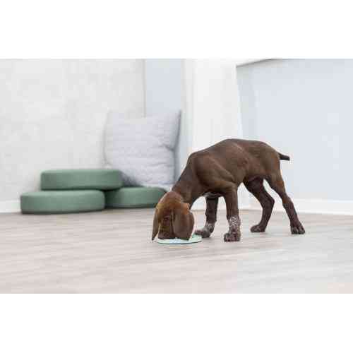 Миска-килимок Trixie для цуценят Junior для повільного годування блакитна пластик d-15 см Київ