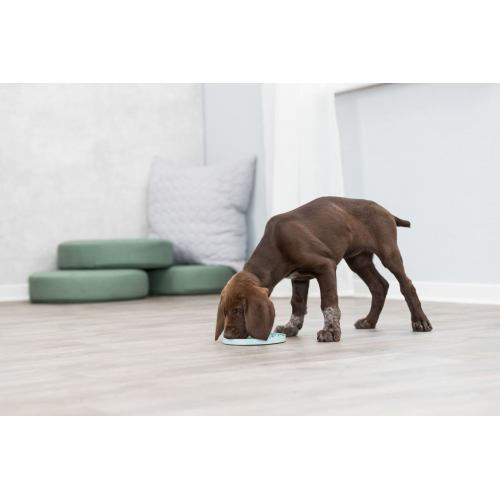 Миска-килимок Trixie для цуценят Junior для повільного годування блакитна пластик d-15 см Київ - фото 6