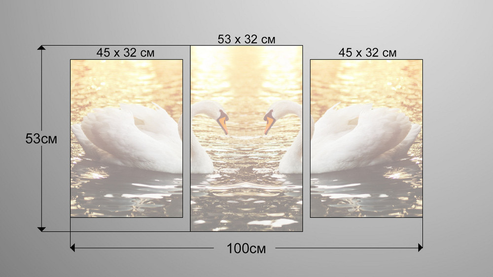 Модульная картина Лебеди Art-121_3 Киев - изображение 3