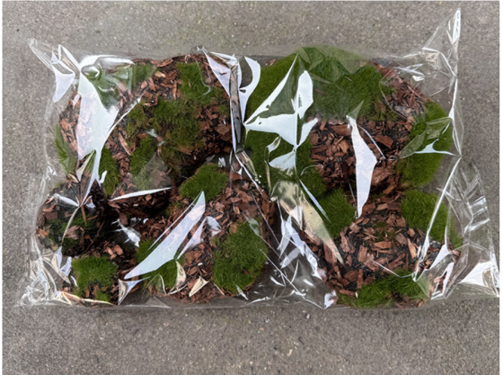 Камешки из коры и мха набор 6 шт для вазона, декора, микроландшафта Одесса