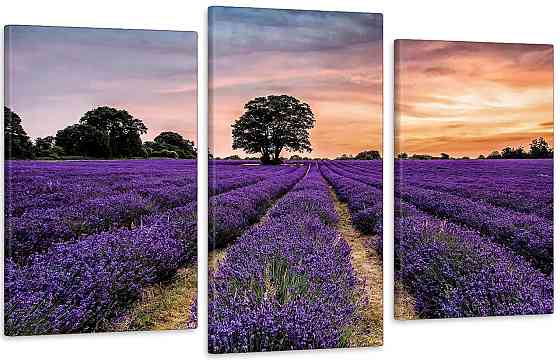 Модульна картина у вітальню/ спальню  Поле Лаванда    Art-556_3 Київ
