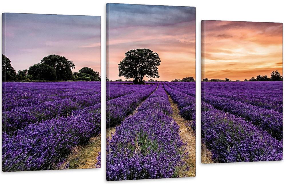 Модульна картина у вітальню/ спальню  Поле Лаванда    Art-556_3 Київ - фото 1
