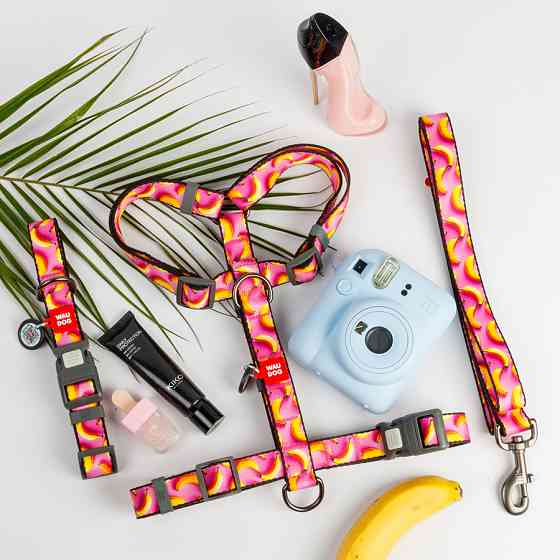 Нашийник для собак нейлоновий WAUDOG Nylon з QR паспортом, малюнок "Банани на рожевому", пласти Коломыя