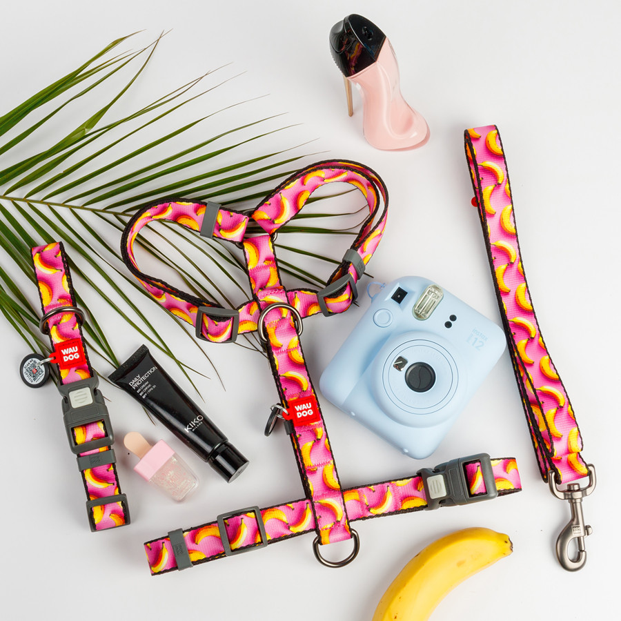 Нашийник для собак нейлоновий WAUDOG Nylon з QR паспортом, малюнок "Банани на рожевому", пласти Коломыя - изображение 3