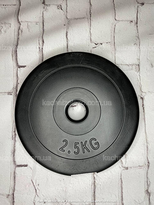 Штанга наборная W-образная на 57 кг Гантели, гири, штанги и диски с пластиковым покрытием Киев - изображение 6