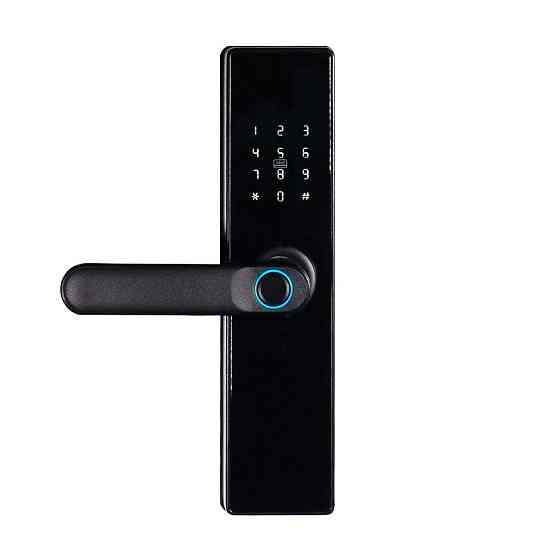 Замок біометричний автономний Trinix TRL-5402BTF Black з Bluetooth, зчитувачем відбитків пальців і карт Mifare (65-00071) Київ