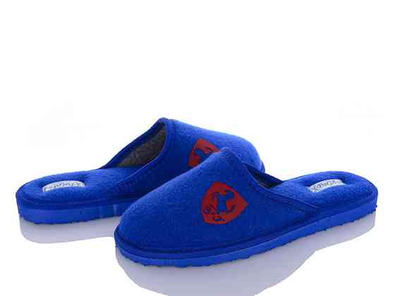 Капці підліткові хлопчик свій PaGo "Червоний Ferrari" Сині 40 Одеса