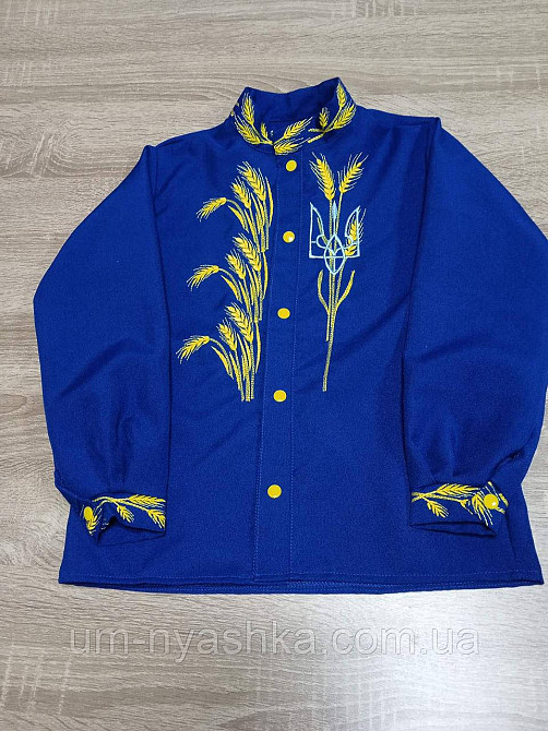 Хлопчача вишиванка "Колоски-тризуб" на кнопках 104-164 від 146 до 164 Кривий Ріг - фото 1