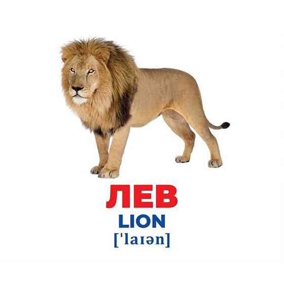 Набор развивающих карточек Гений с пеленок 