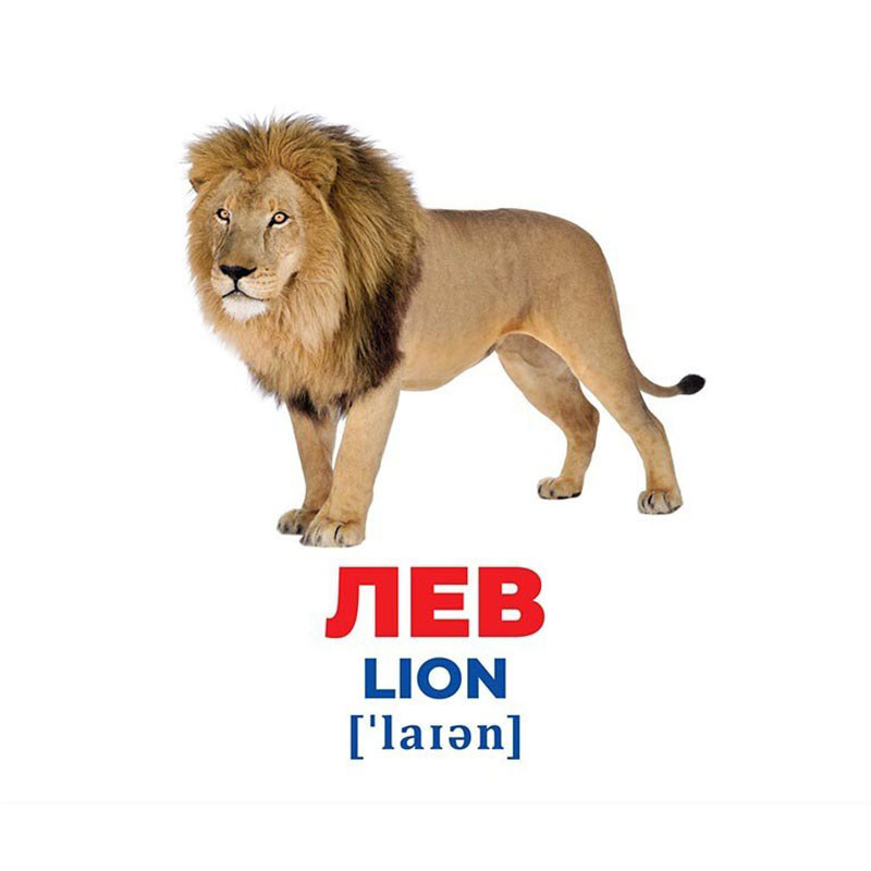 Набір розвиваючих карток Геній з пелюшок "Тварини різних широт" 10107200, 17 карток Вінниця - фото 2