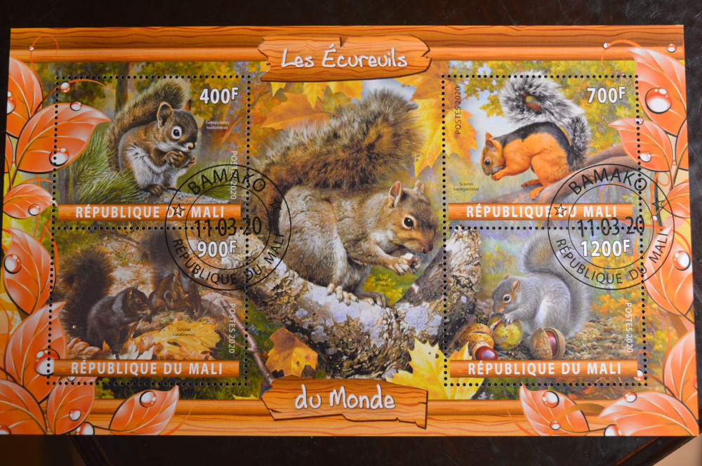 Мали. Марки. Фауна. Блок. 2020 год (В-2) Полтава - изображение 1