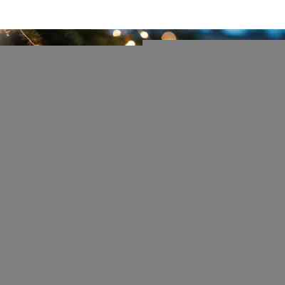 Гирлянда Chomik Оберемок струн 200 LED 10х2 м, теплий білий, IP44, від мережі (5900779901780) Винница