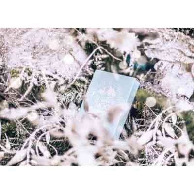 Карты игральные Noc Winter Edition (Glacier Ice) (PC_NWECI) Винница
