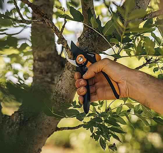 Плоскостной Cекатор 26.5 см Fiskars 