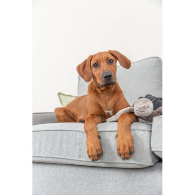 Игрушка для собак Trixie BE NORDIC Черепаха Хауке 34 см серая (4011905360621) Винница - изображение 4