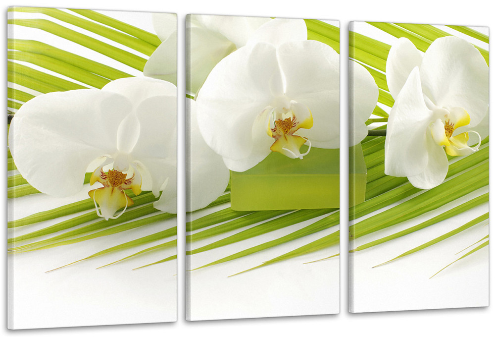 Модульна картина Білі Квіти Art-34_3А Київ - фото 1