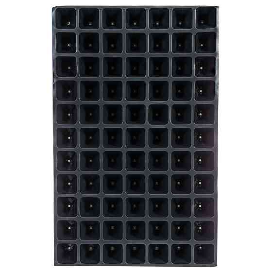 Касета для розсади 60*40 см 77 комірки Дніпро