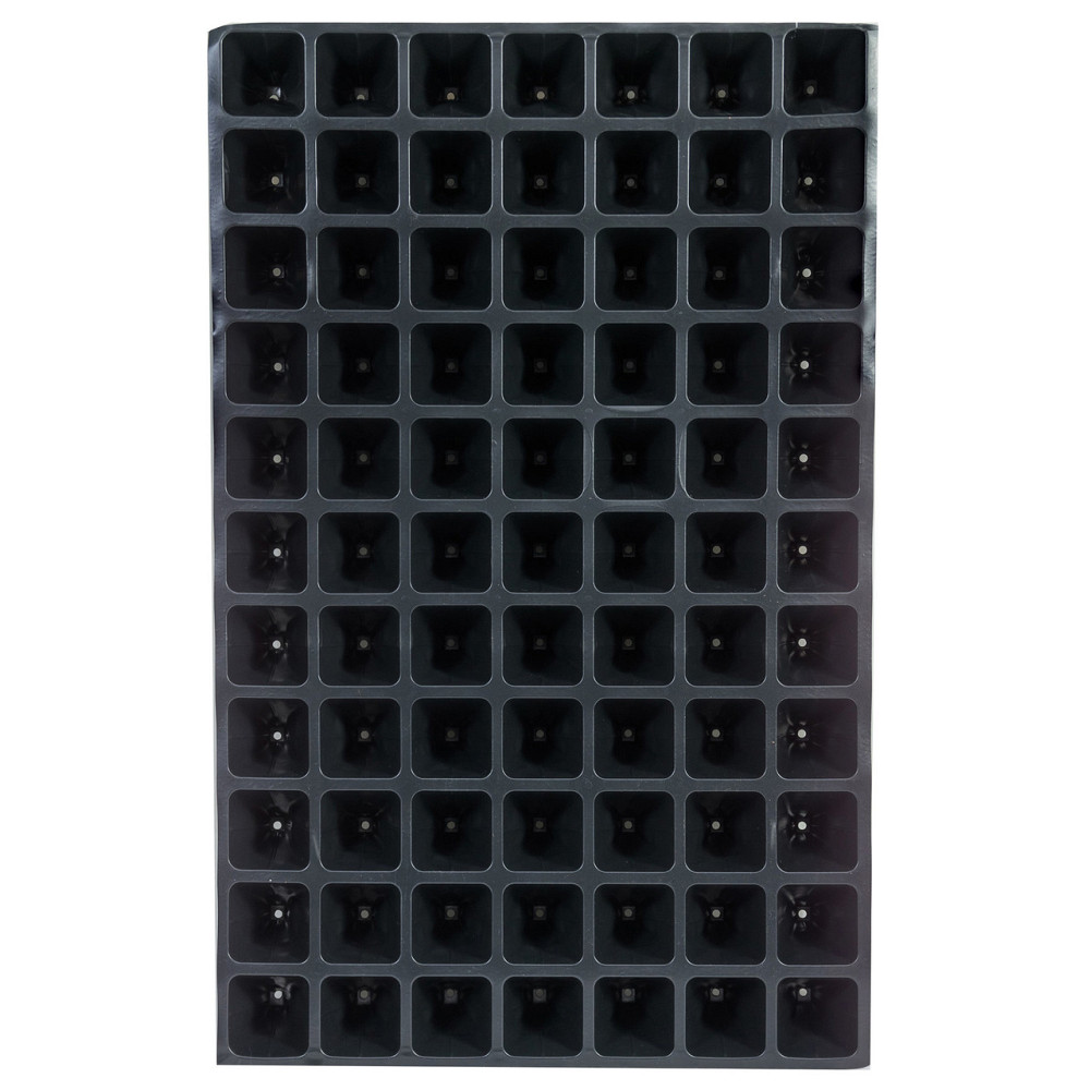 Касета для розсади 60*40 см 77 комірки Дніпро - фото 4