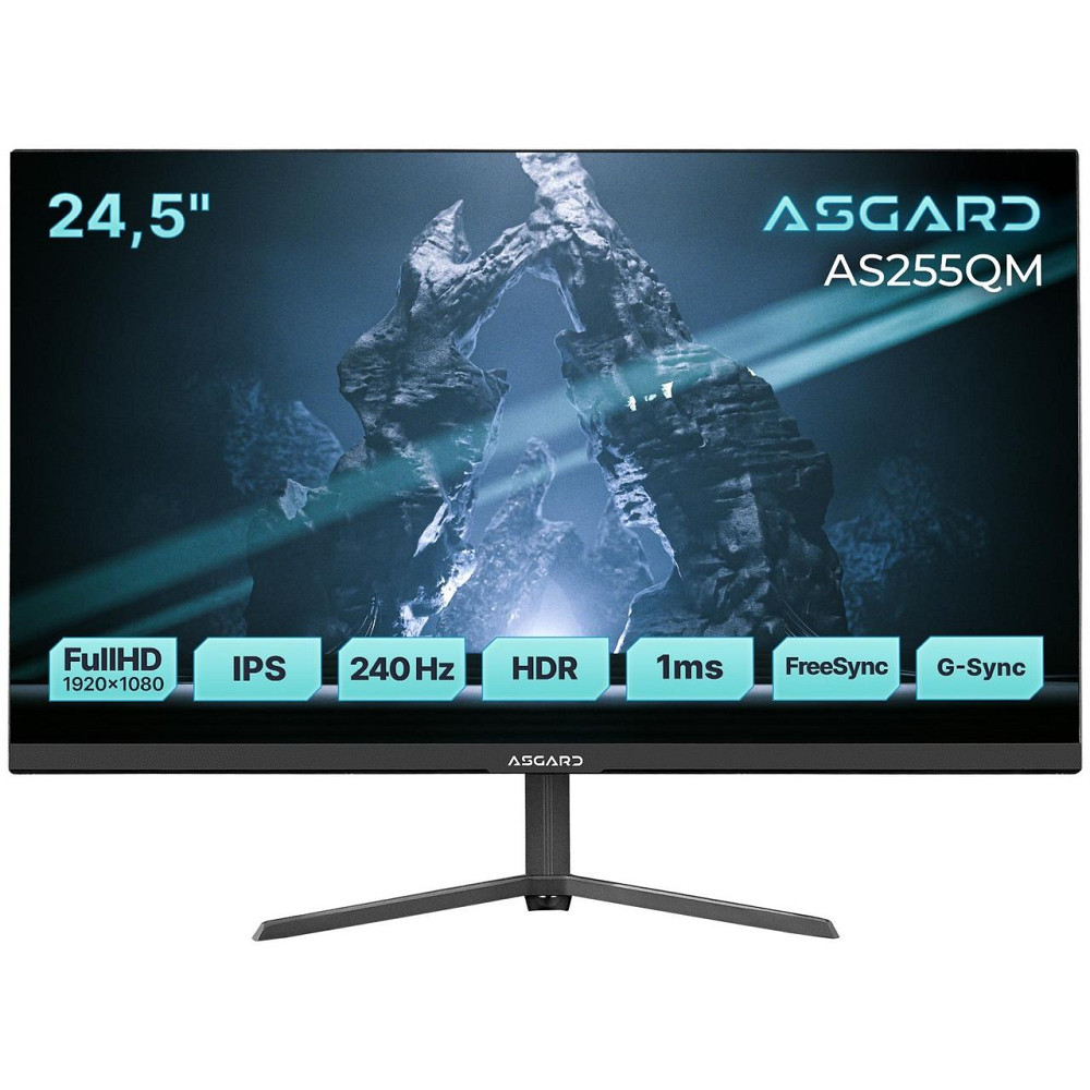 Монитор ASGARD Gaming 24.5